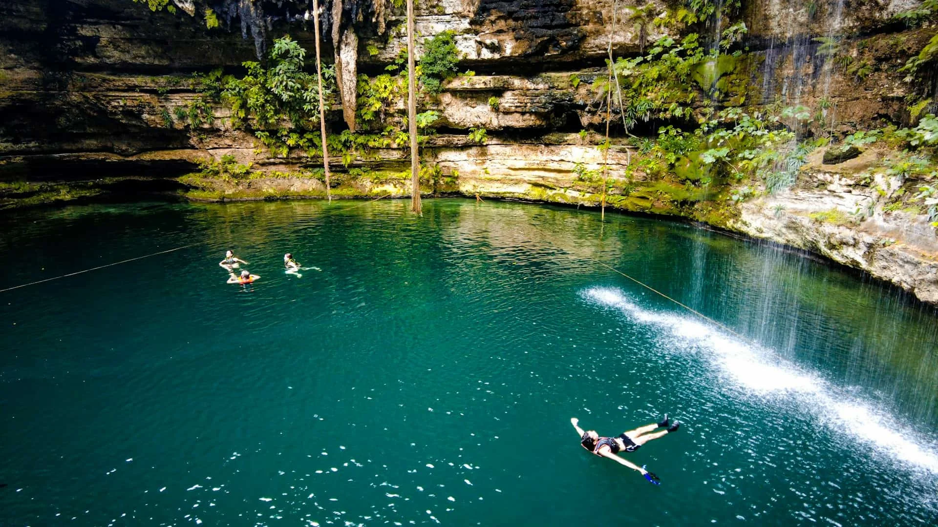 Rivers of Living Water: Submerged Forests in Yucatán's Springs